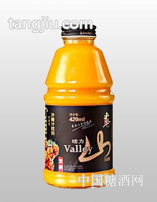 山西沙棘汁飲料3