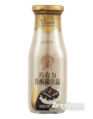 智力多廠家直銷巧克力乳酸菌飲料300g