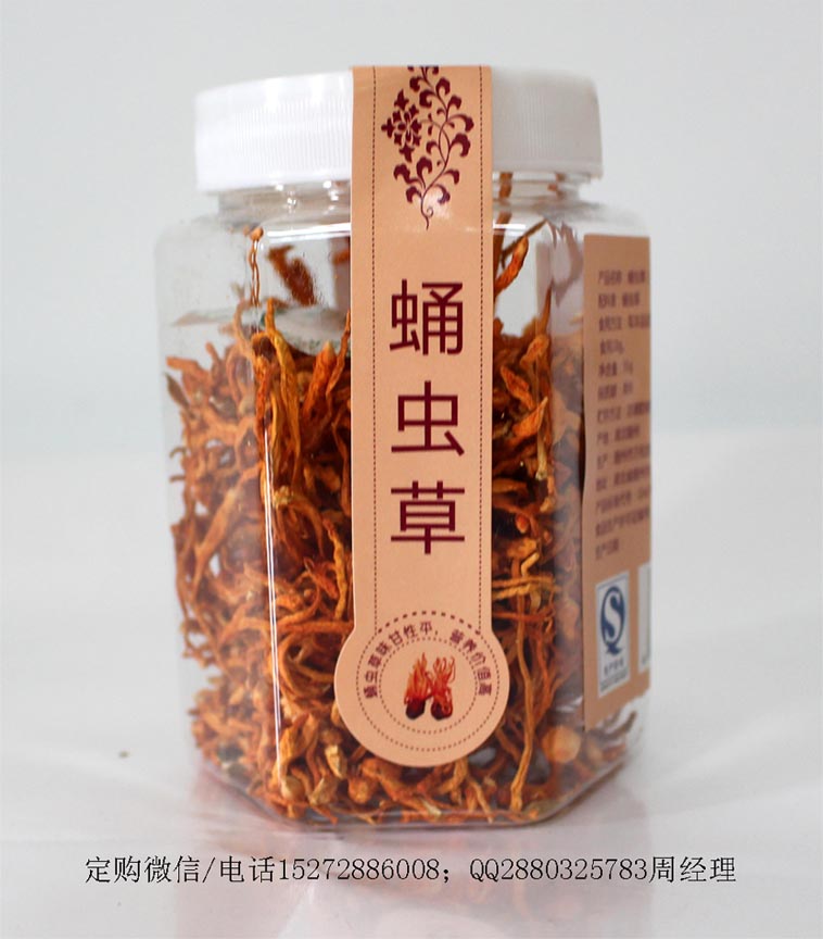 蛹蟲草（花草茶）瓶裝100瓶/箱湖北隨州萬松堂生產(chǎn)