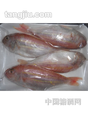 金線魚(yú)