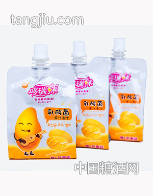 乳酸菌系列12