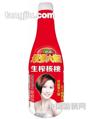 升級版強(qiáng)大腦生榨核桃乳500ml