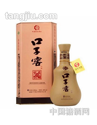 口子窖10年46度兼香型白酒500ml