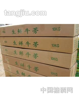 生鮮牛蒡10kg