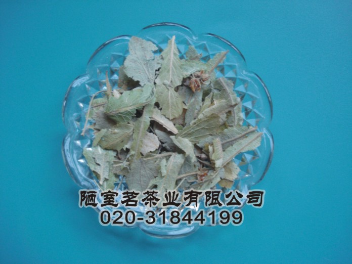 供應進口菩提葉 進口花草茶批發(fā)報價 花茶 花草茶 花果