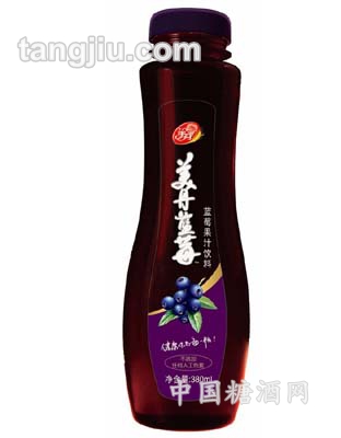 藍(lán)莓果汁飲料380ml