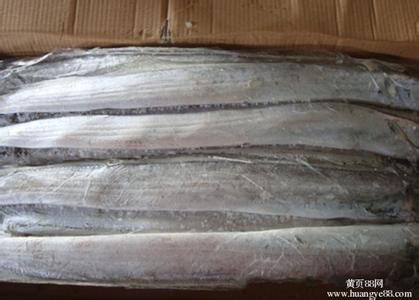 大量供應(yīng)印度帶魚秋刀魚魷魚