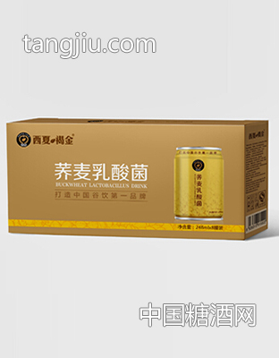 西夏褐金 苦蕎麥茶乳酸菌塑包8灌裝248ml