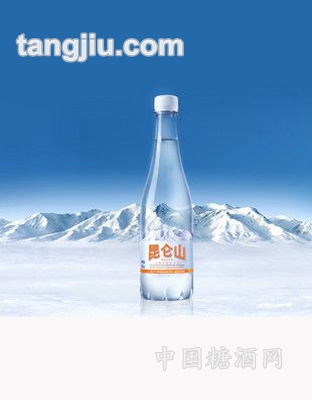 椰樹(shù)椰汁245ml