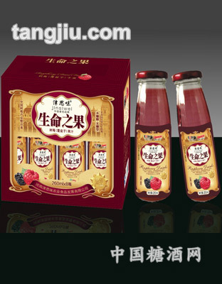 津思味樹莓飲料玻璃瓶260ml短標(biāo)