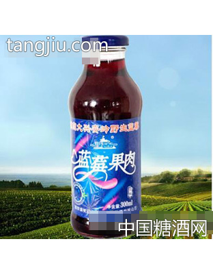 野戀藍莓果肉飲料300ml