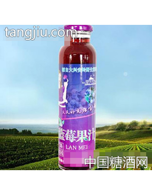 野戀藍莓果汁320ml