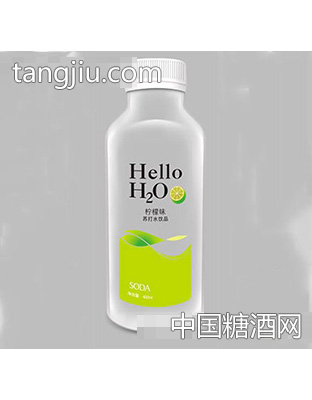 奇亞籽你好！水檸檬味蘇打水飲品