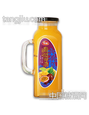 團(tuán)友南國(guó)湯果汁飲料百香果+芒果1L