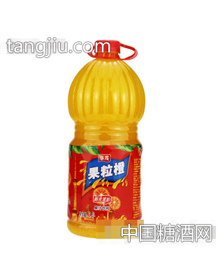 華龍果粒橙果汁汁飲料2.5L