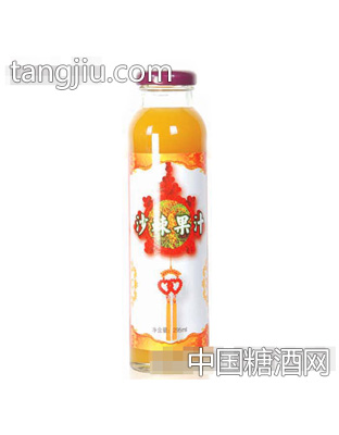 科茂瓶裝沙棘果汁295ml