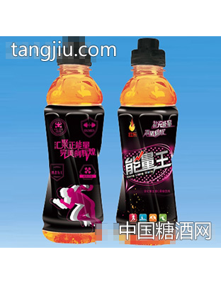 紅樂能量王運動飲料（黑）550ml×15瓶