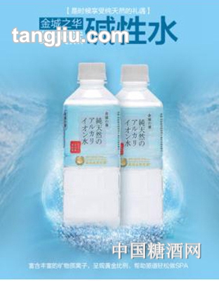 金城之華堿性離子水500ML