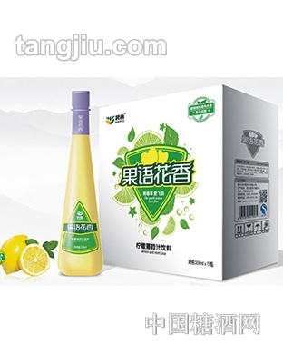 昊雨檸檬薄荷汁飲料