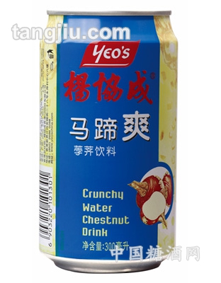 罐裝馬蹄爽300ml