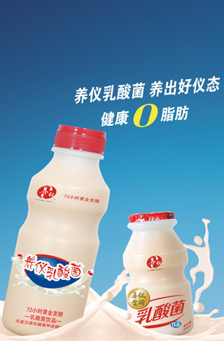 養(yǎng)儀乳酸菌