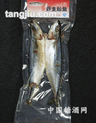 南方水產(chǎn)野生鮯魚