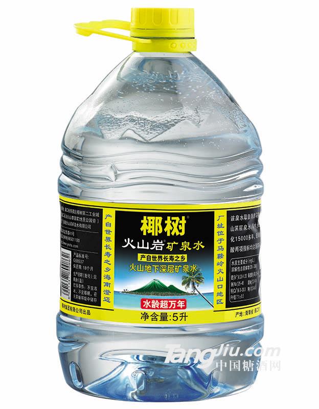 椰樹牌火山巖礦泉水（5L*2）