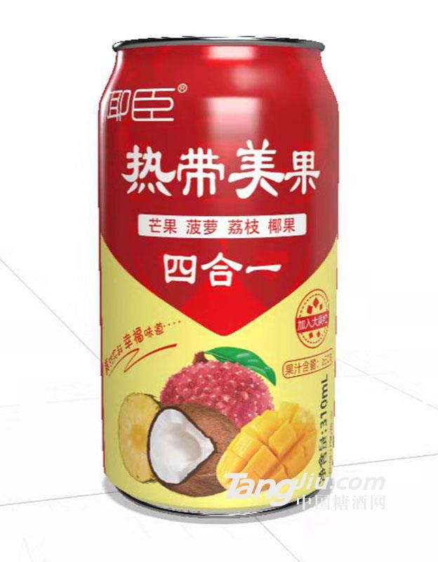 椰臣-熱帶美果310ml