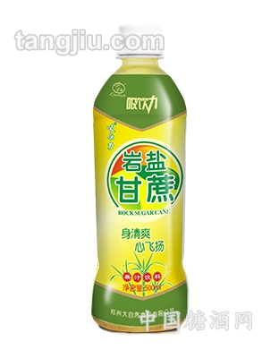 吸引力巖鹽甘蔗500ML